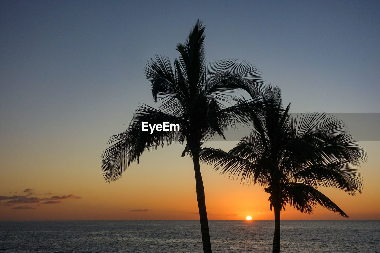 Silhouette palm tree by sea against clear sky at sunset