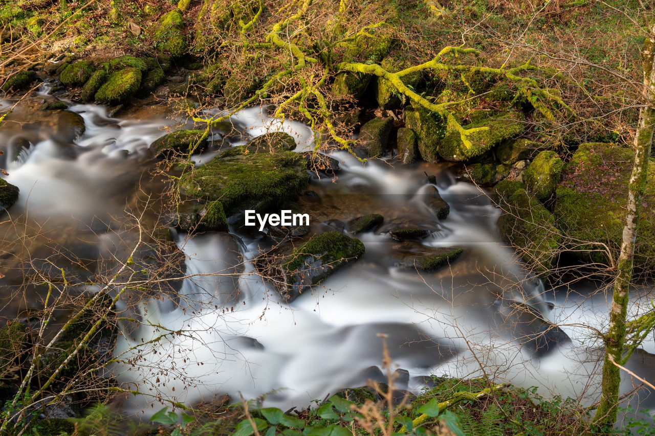 High angle view of the river flowing through the woods at watersmeet in devon