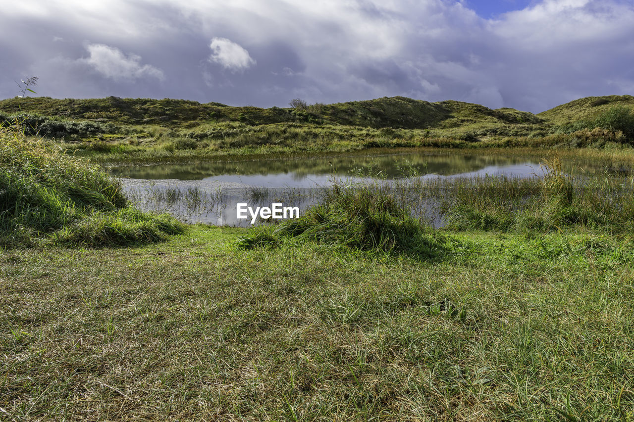 Dunes nature reserve egmond - scenic view of field against sky