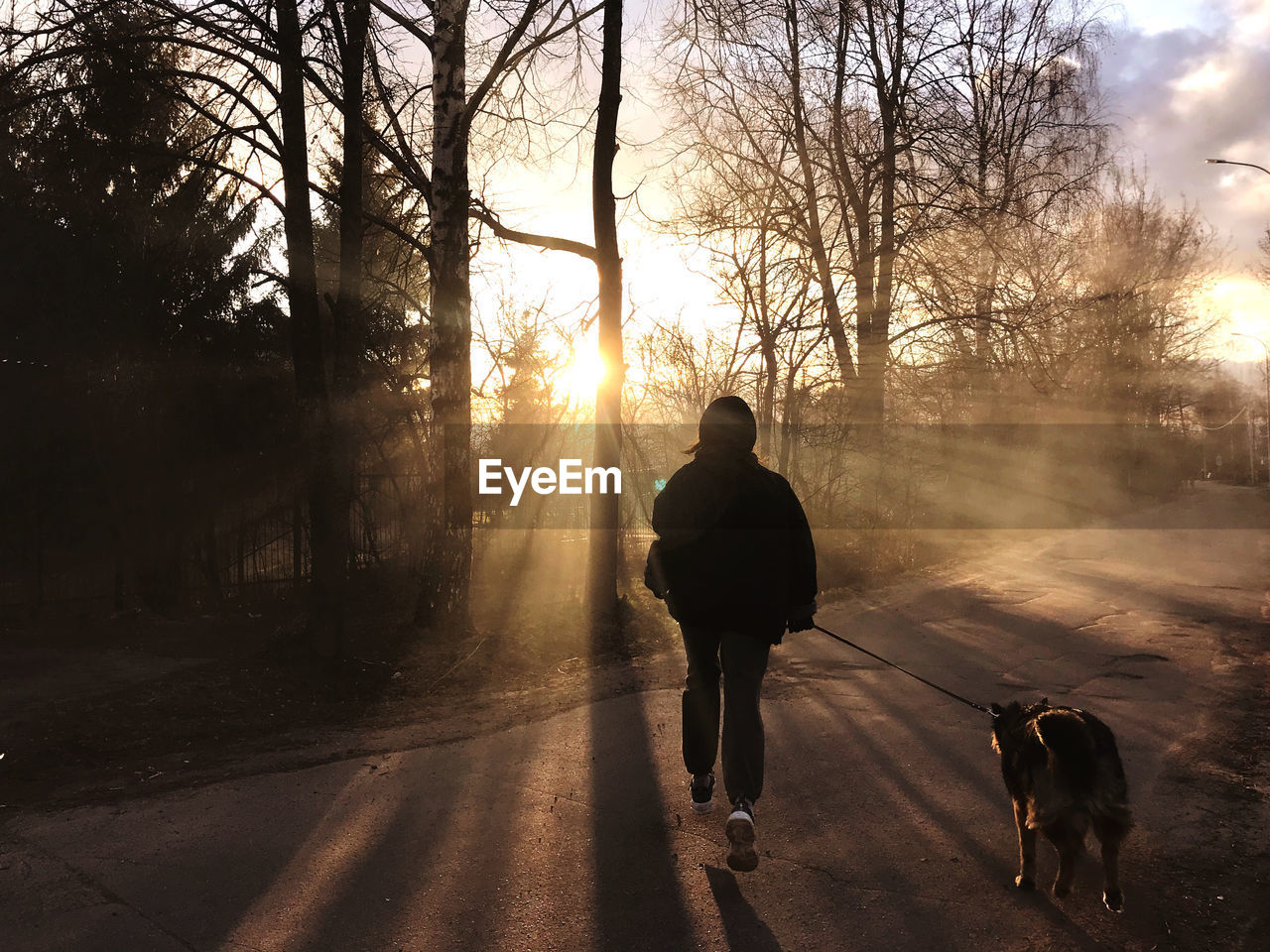 Rear view of woman with dog walking on road in morning