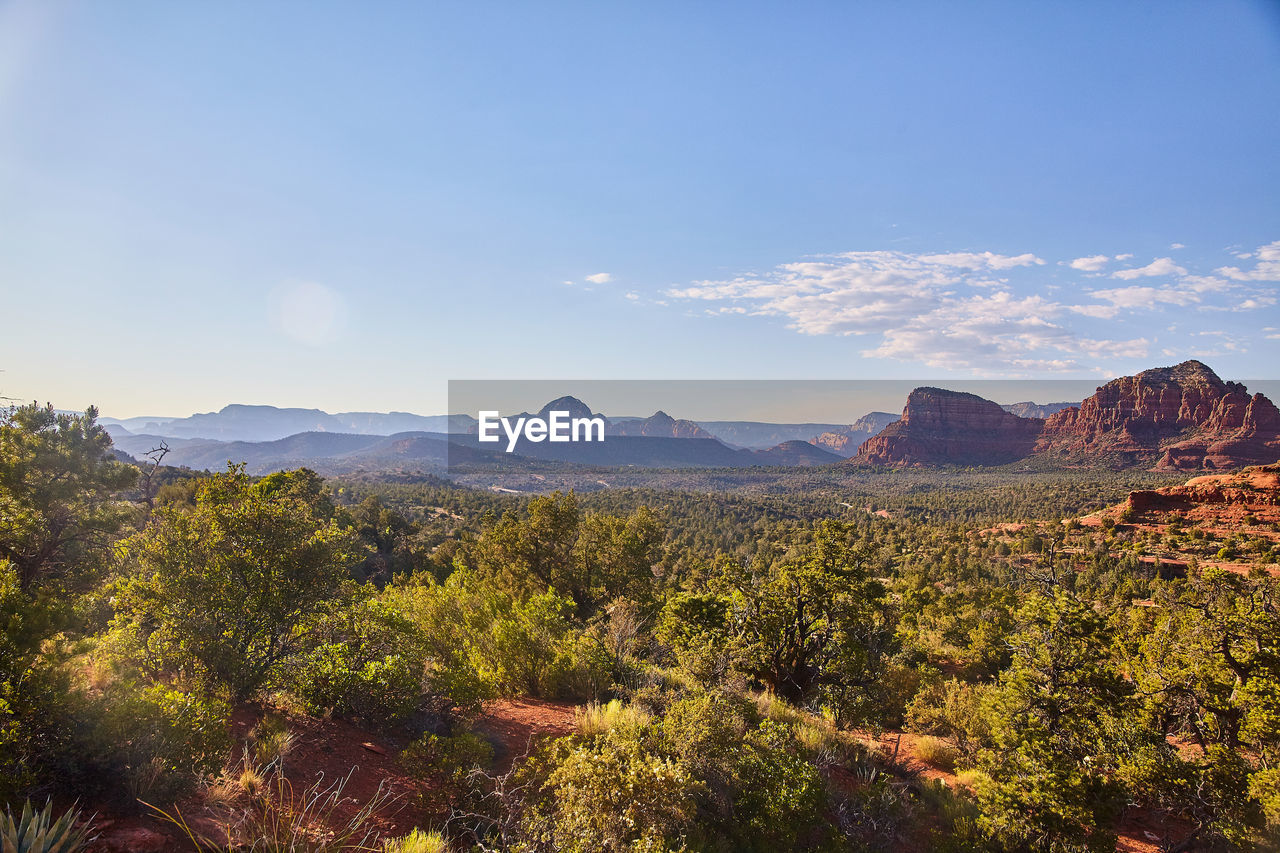 high angle view of trees and mountains against sky