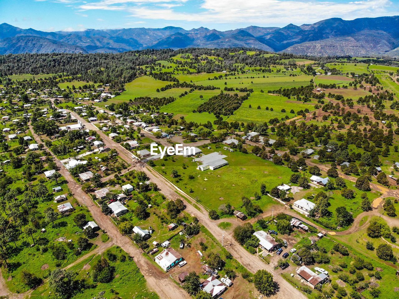 High angle view of agricultural field