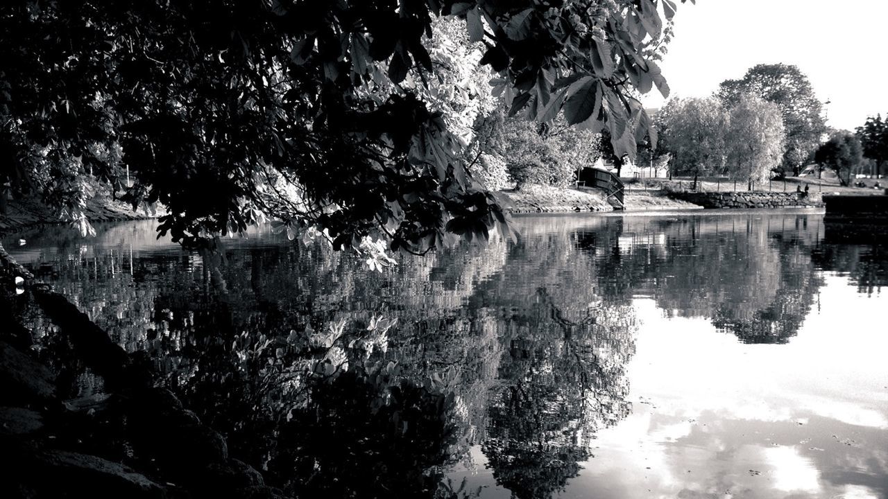 View of pond and trees reflecting in water