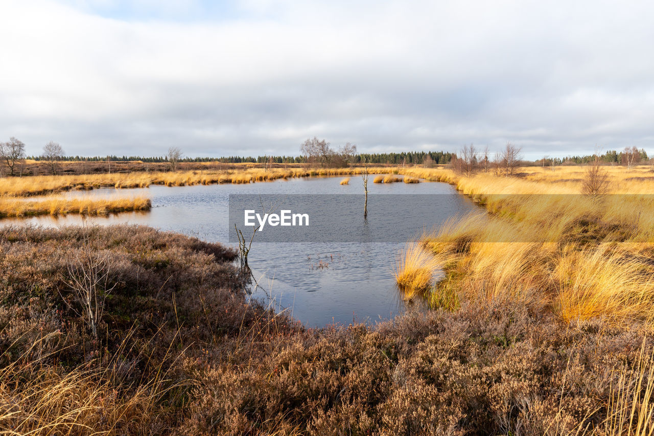 Swamp landscape in the high fens in autumn