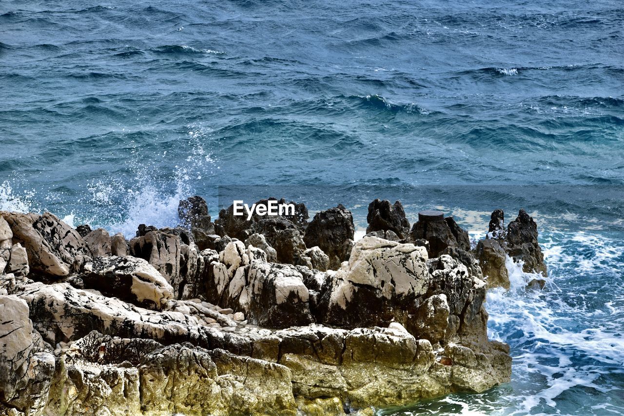 water, sea, coast, shore, ocean, rock, wave, wind wave, beauty in nature, beach, motion, nature, no people, land, day, cliff, scenics - nature, wildlife, animal, group of animals, animal themes, rock formation, animal wildlife, outdoors, body of water, mammal, terrain, non-urban scene, splashing, sports