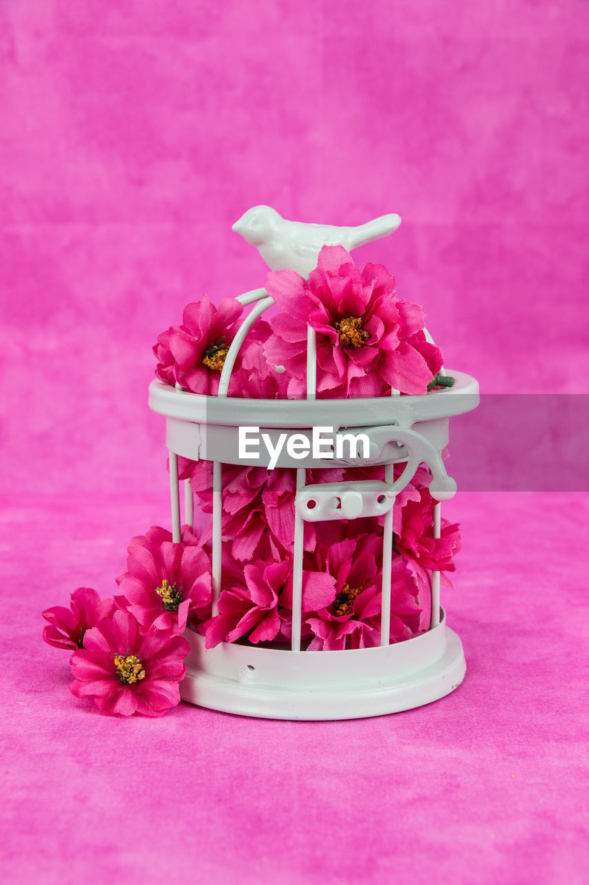 CLOSE-UP OF PINK FLOWERS ON TABLE AGAINST PURPLE BACKGROUND