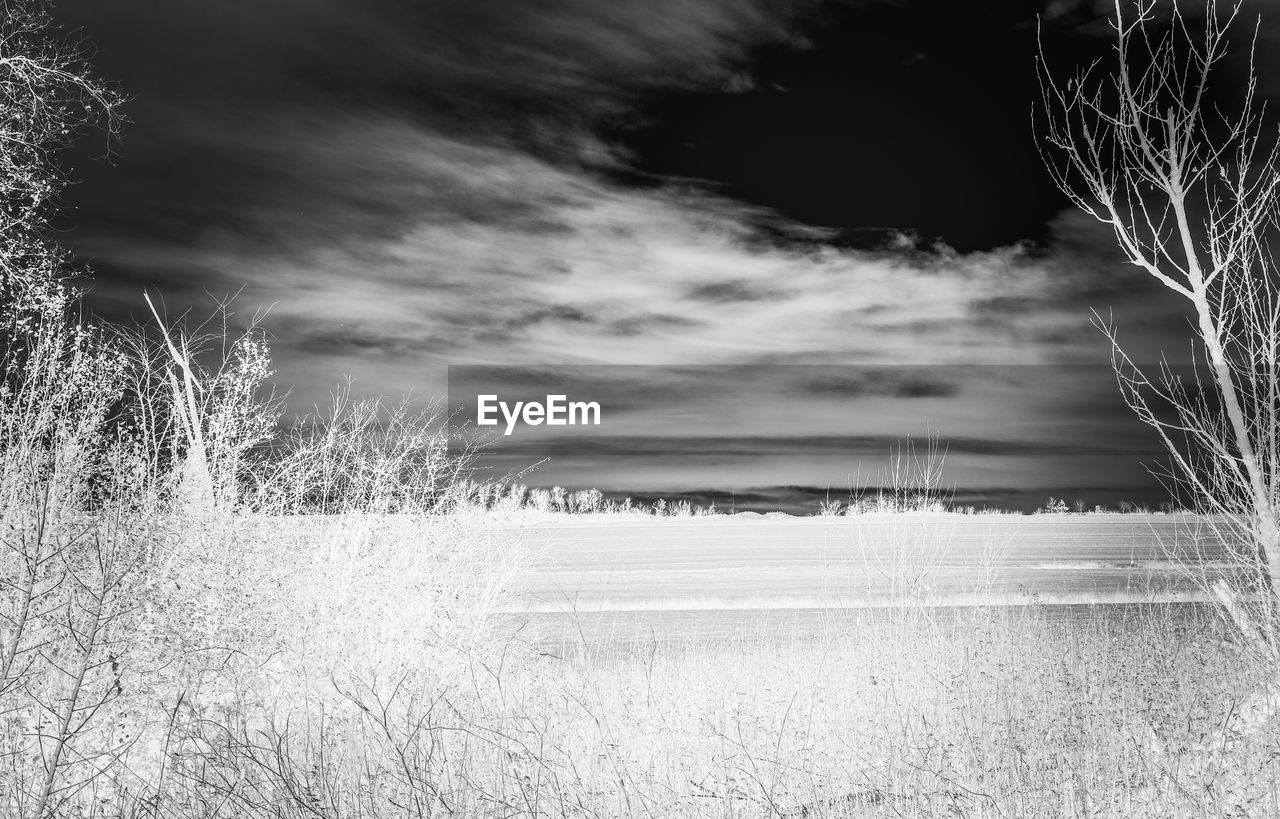 Scenic view of field against sky during winter