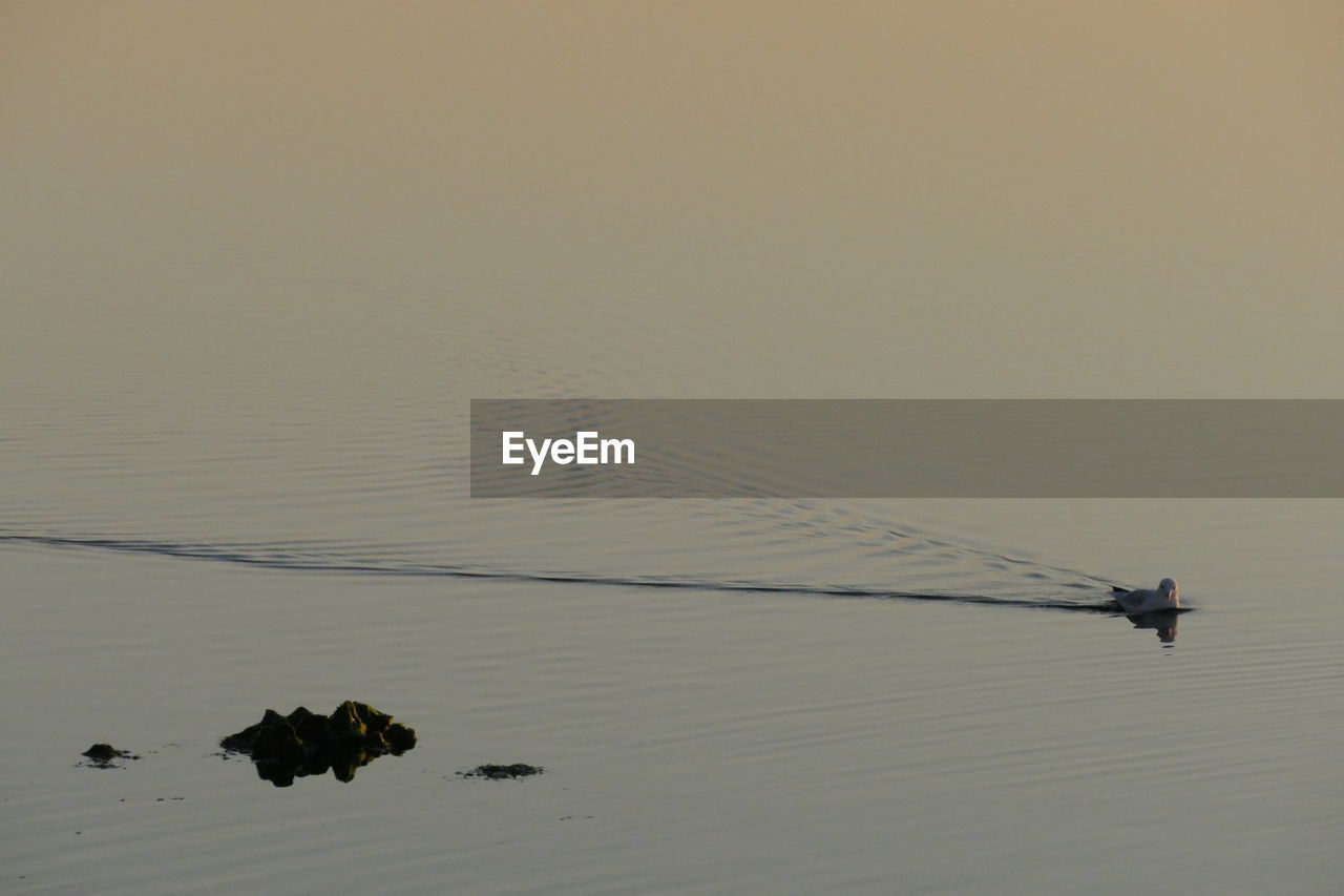 VIEW OF SEA AGAINST SKY