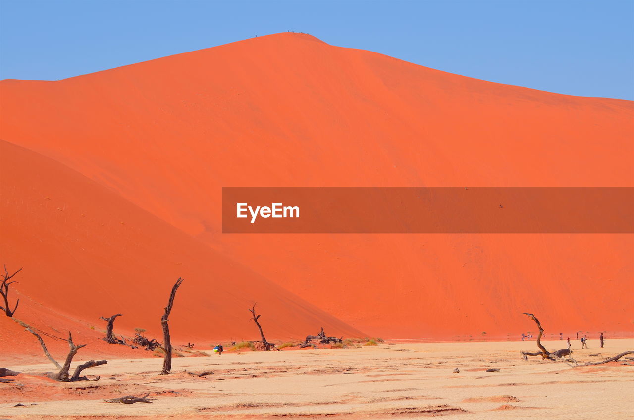 Scenic view of desert against clear sky