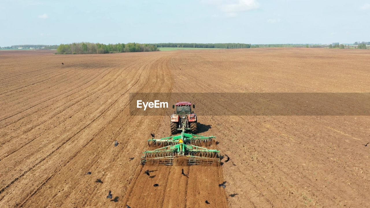 Scenic view of agricultural field