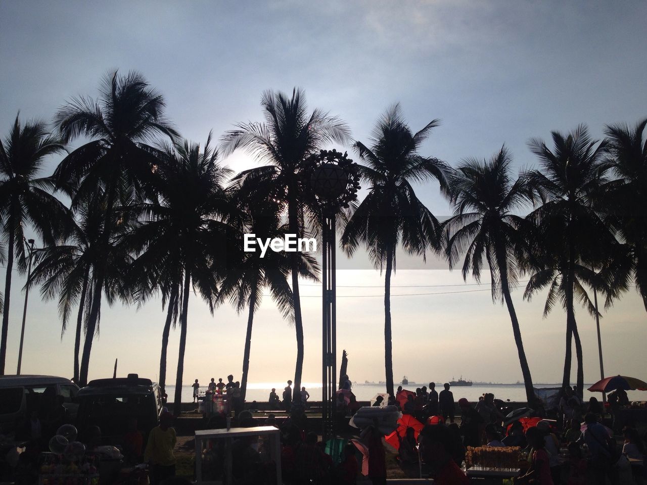 People on beach by coconut palm trees against sky