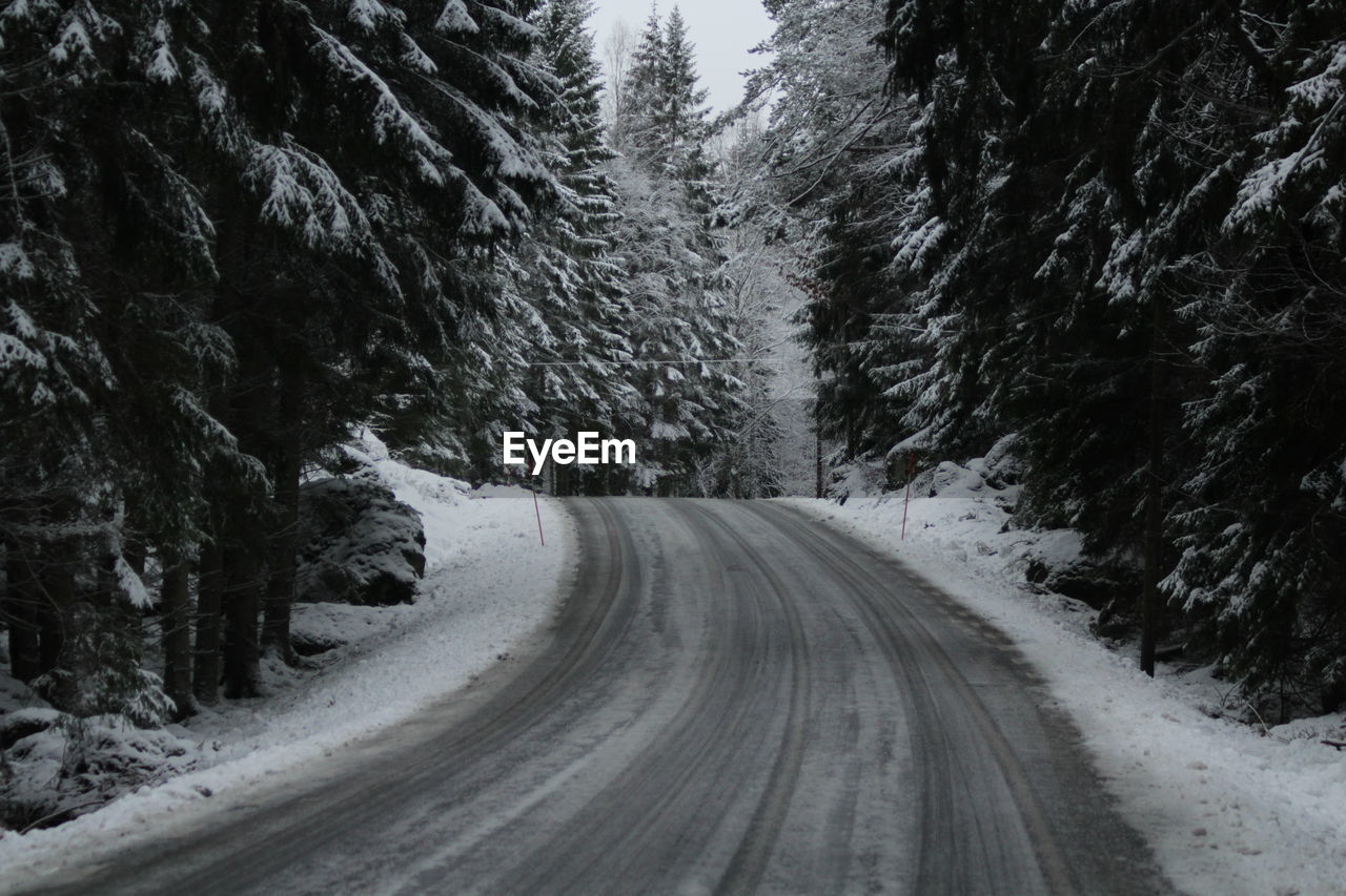 Road amidst trees in forest during winter