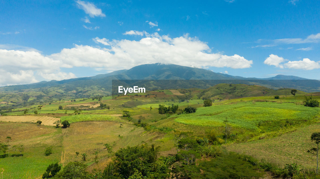 SCENIC VIEW OF FARMS AGAINST SKY