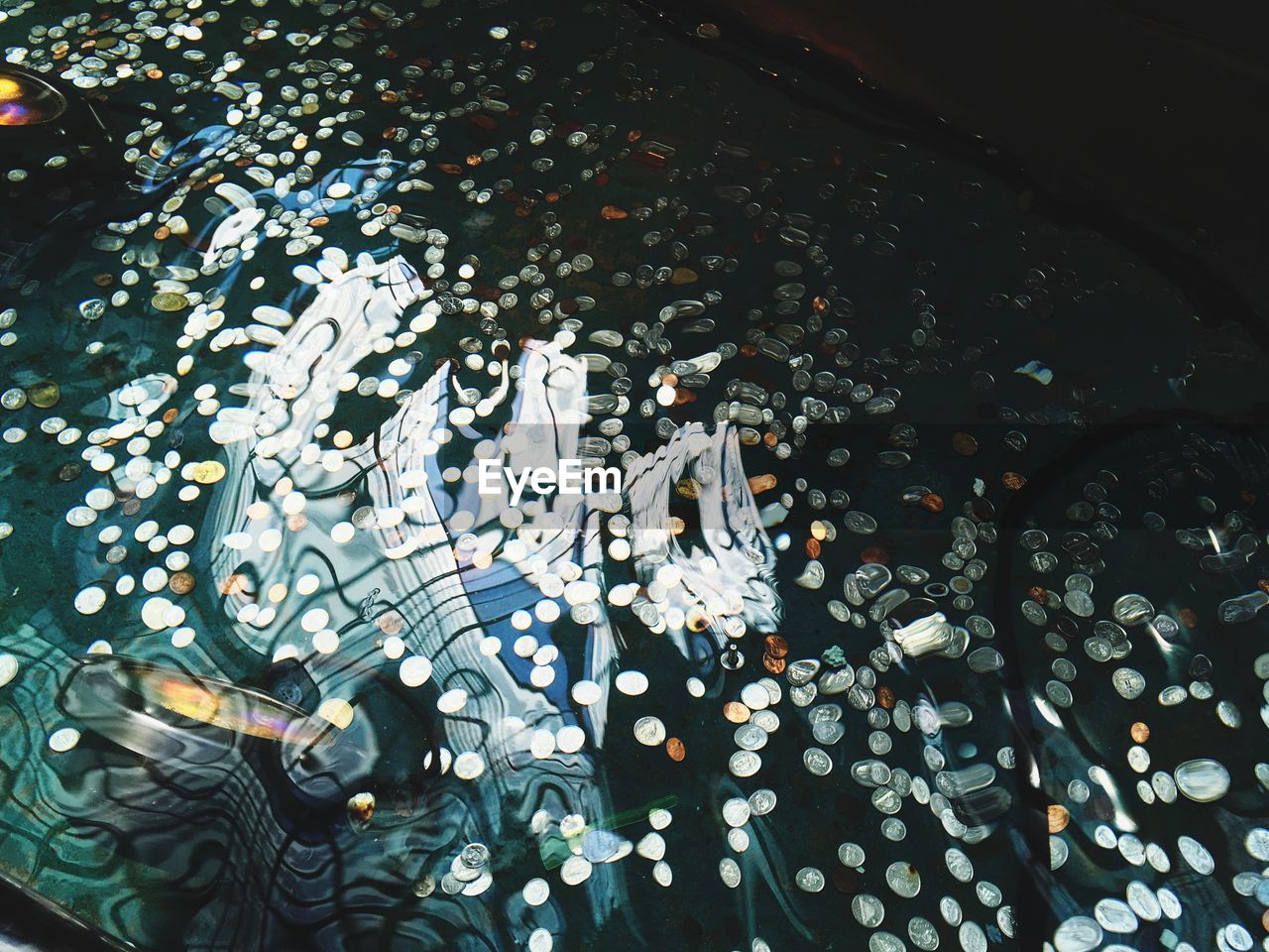 High angle view of coins in pond