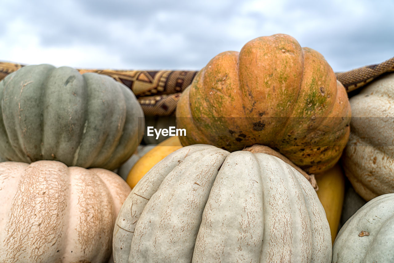 CLOSE-UP OF PUMPKINS AT MARKET STALL