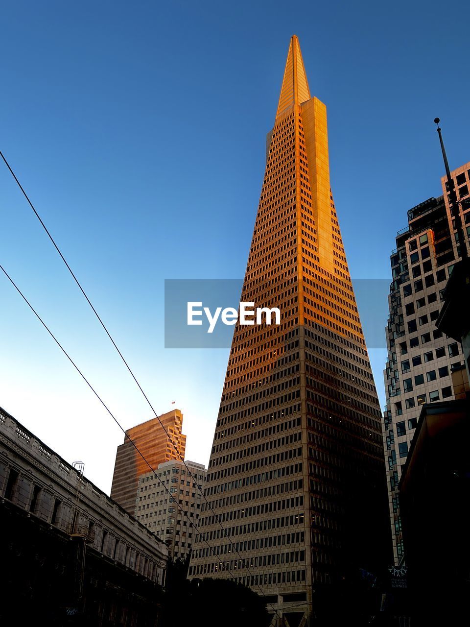 Sunset light hitting the transamerica pyramid building