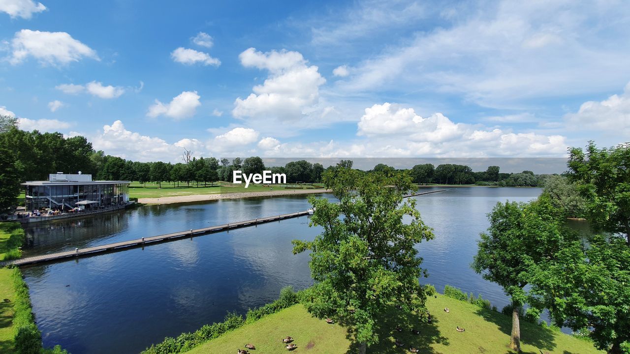 PLANTS BY RIVER AGAINST SKY