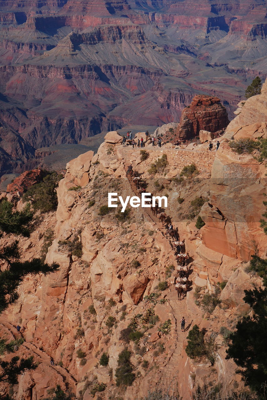 Aerial view of rock formations and people on mules in the grand canyon