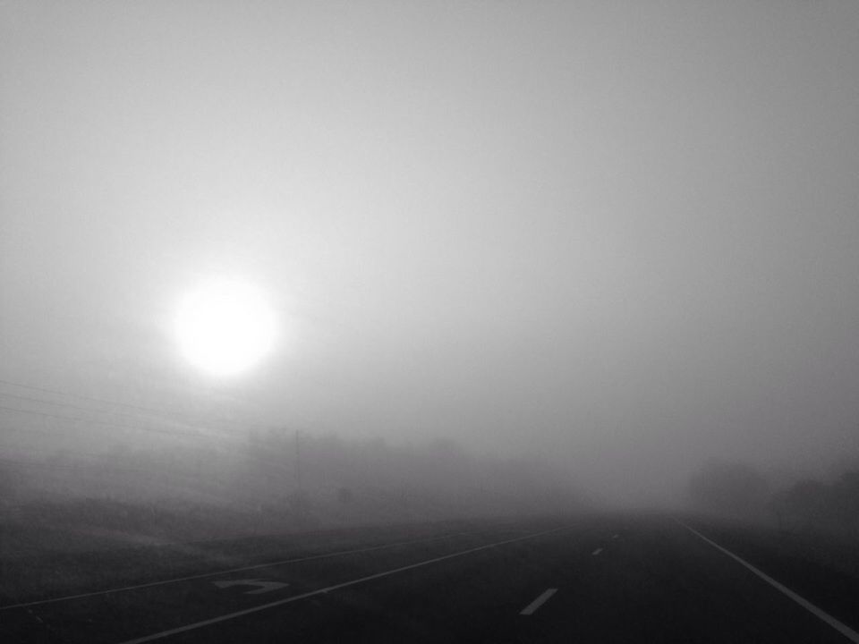 ROAD PASSING THROUGH FOREST DURING FOGGY WEATHER