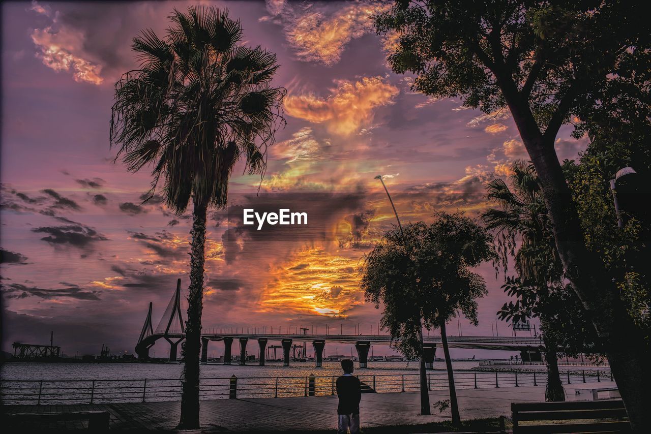 Rear view of boy standing by lake during sunset