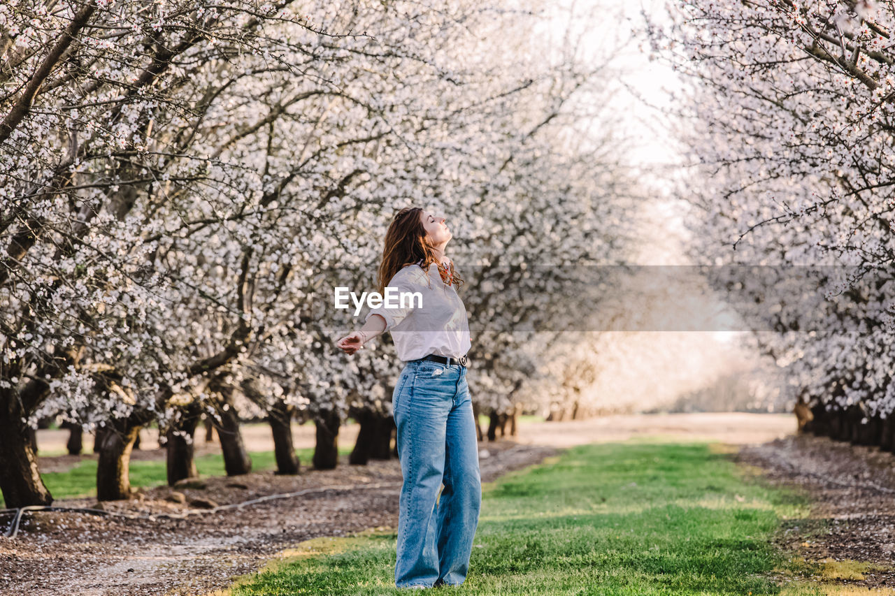 Woman enjoying springtime outdoors among blooming almond trees