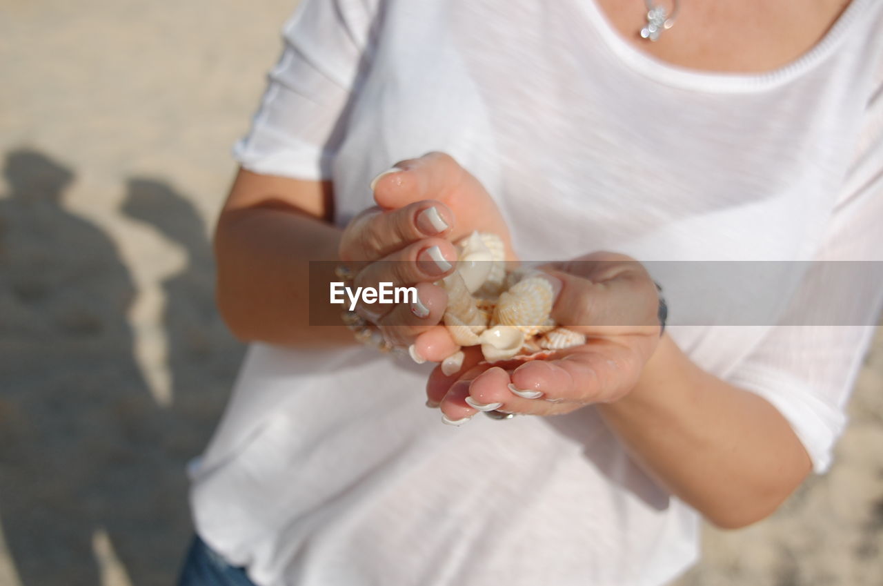 Woman holding seashells while standing on beach