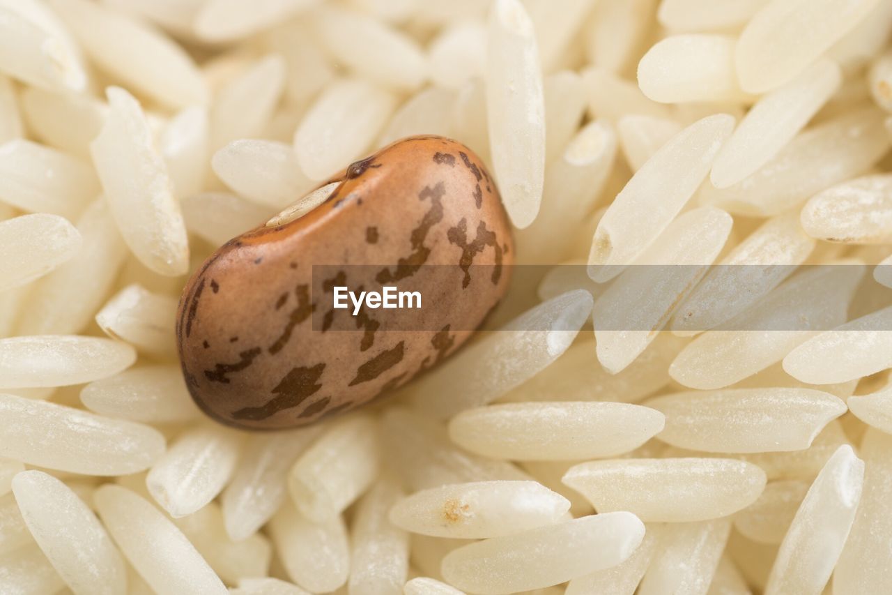 Close-up of bean on rice