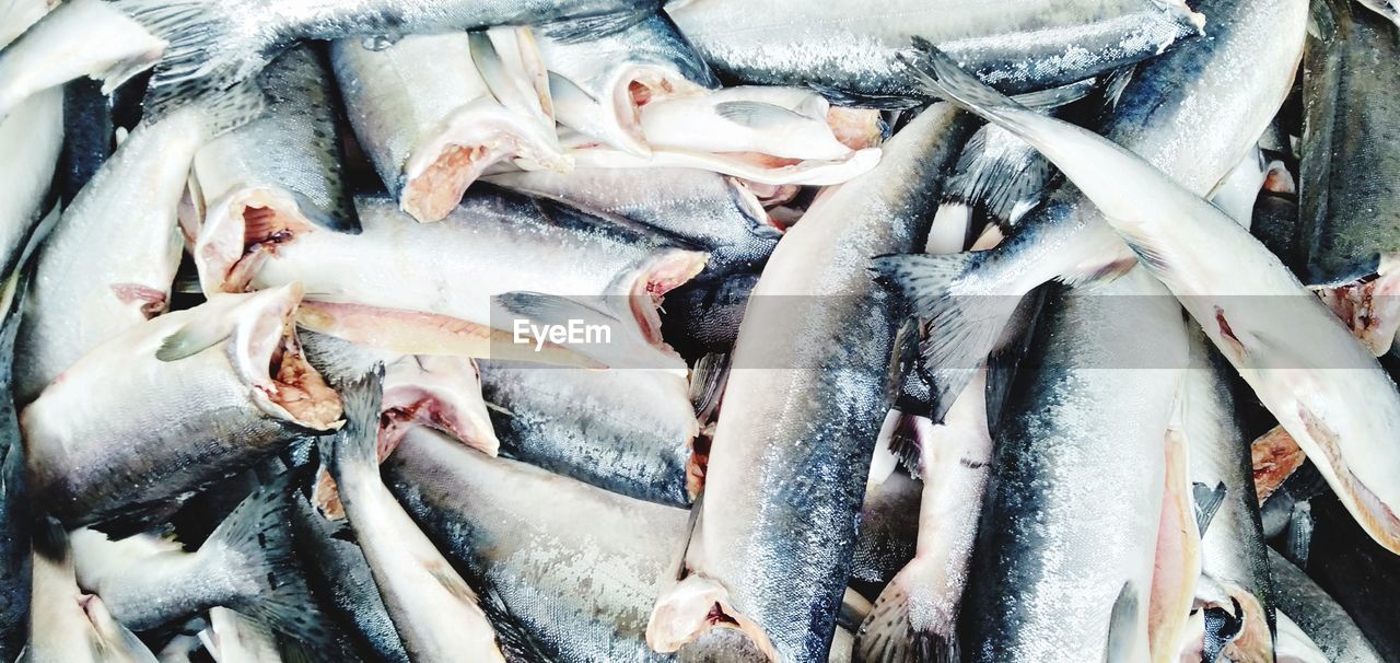 High angle view of fish for sale at market