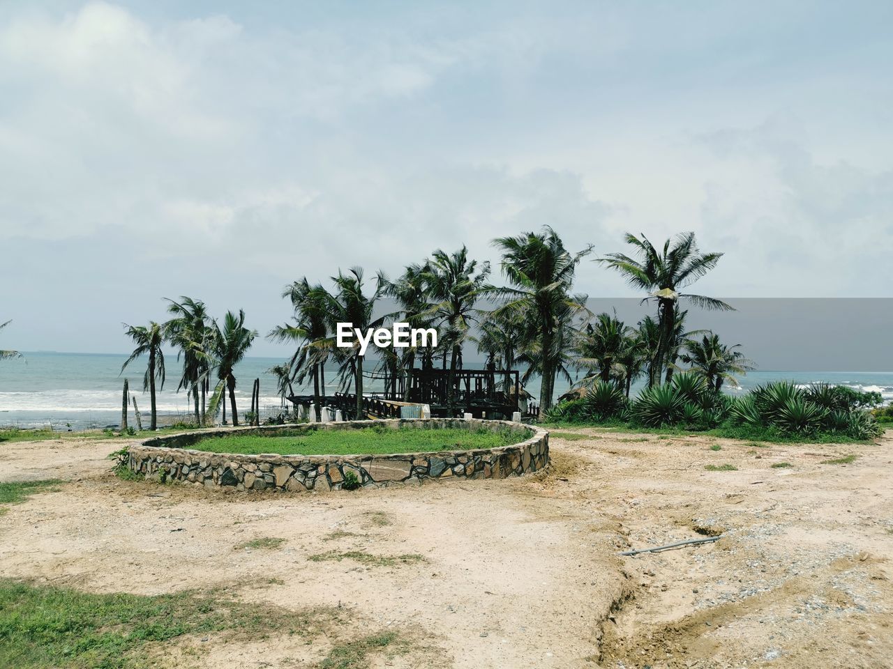 SCENIC VIEW OF PALM TREES ON BEACH AGAINST SKY