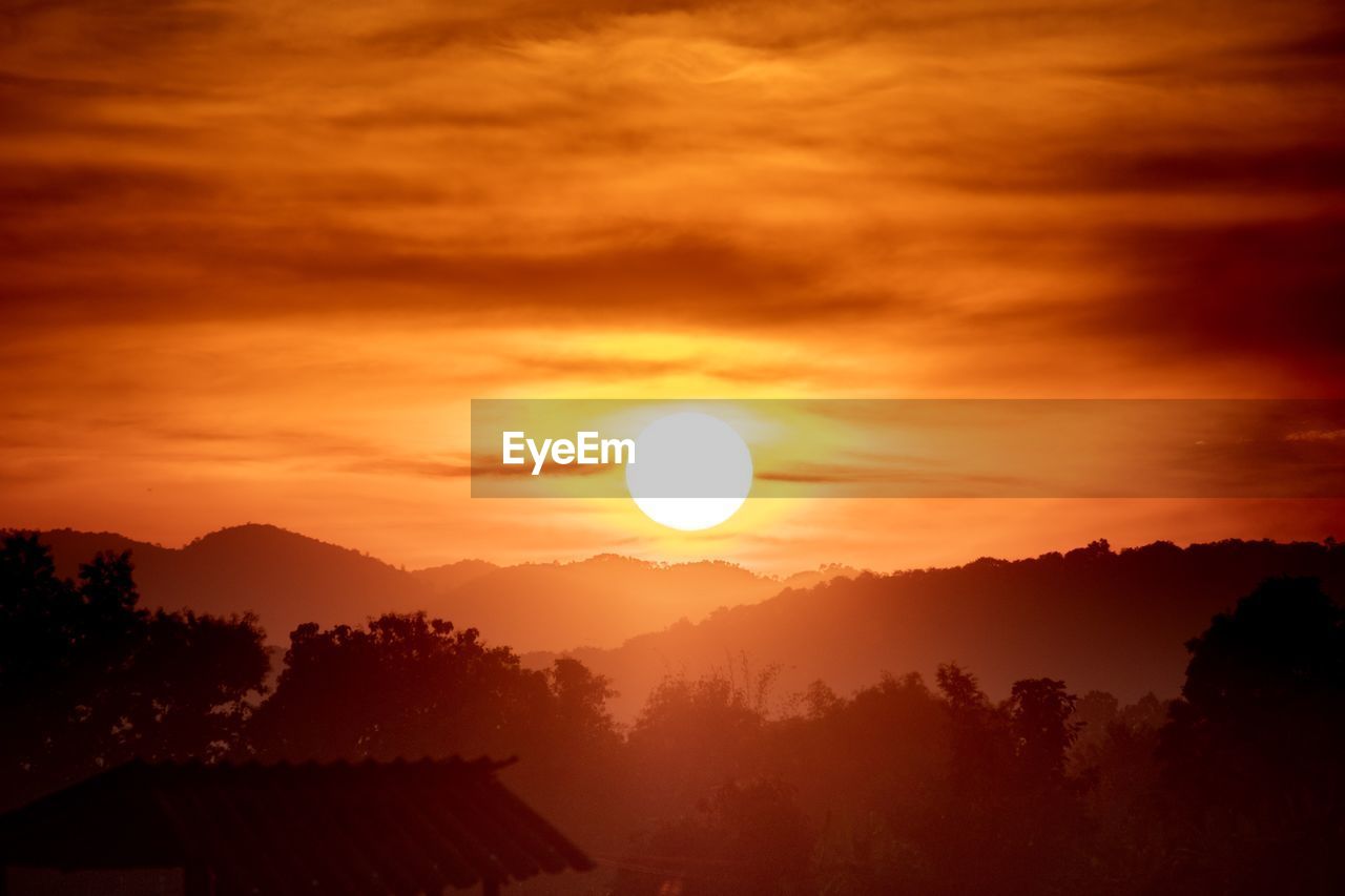 SILHOUETTE TREES AGAINST ORANGE SKY