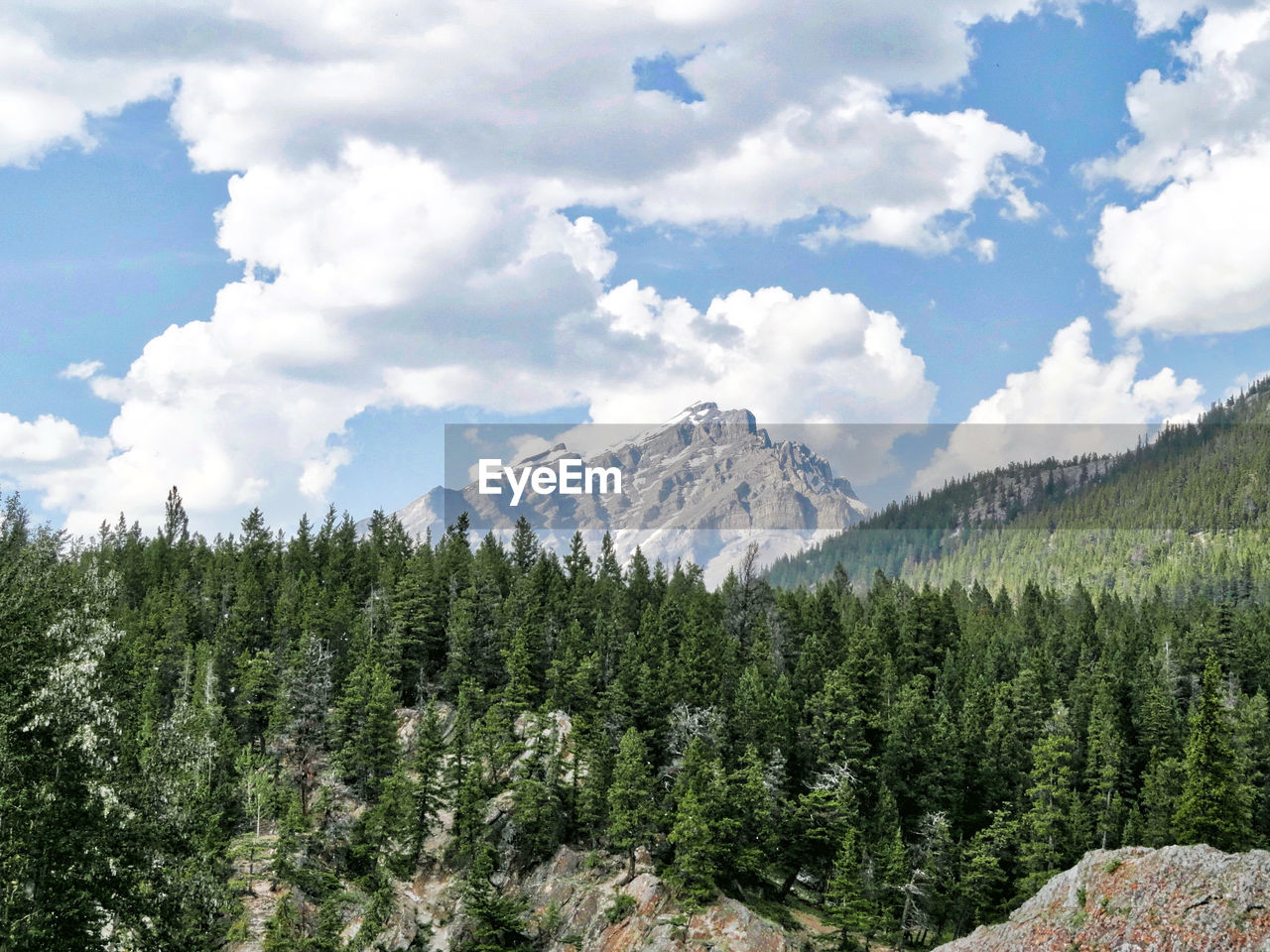 SCENIC VIEW OF GREEN LANDSCAPE AND MOUNTAINS AGAINST CLOUDY SKY