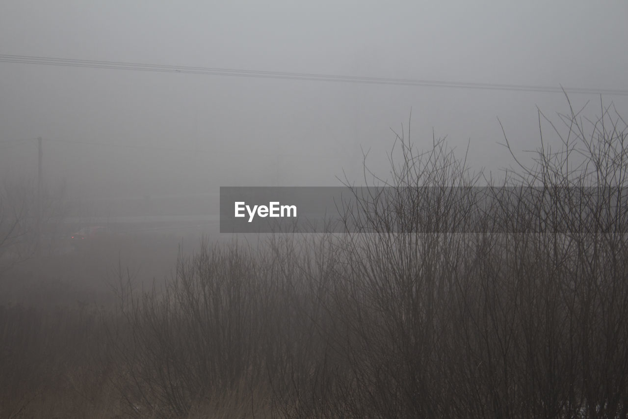 FULL FRAME SHOT OF FOG