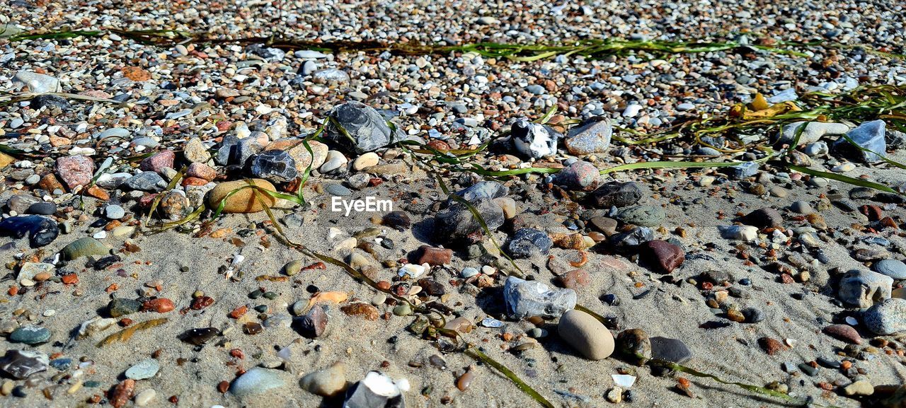 day, high angle view, nature, land, rock, no people, abundance, stone, full frame, beach, outdoors, pebble, sunlight, backgrounds, large group of objects, water, leaf