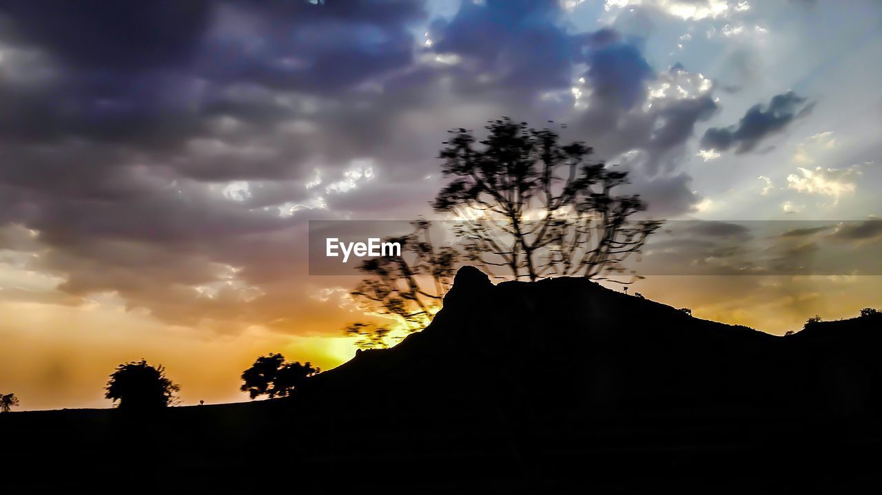 SILHOUETTE OF TREES AGAINST CLOUDY SKY