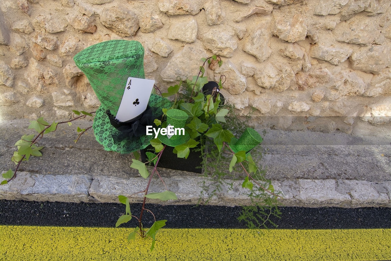 HIGH ANGLE VIEW OF WALL AND PLANTS ON STONE