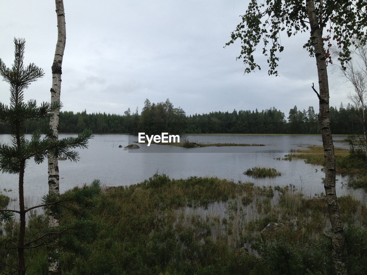 LAKE BY TREES AGAINST SKY