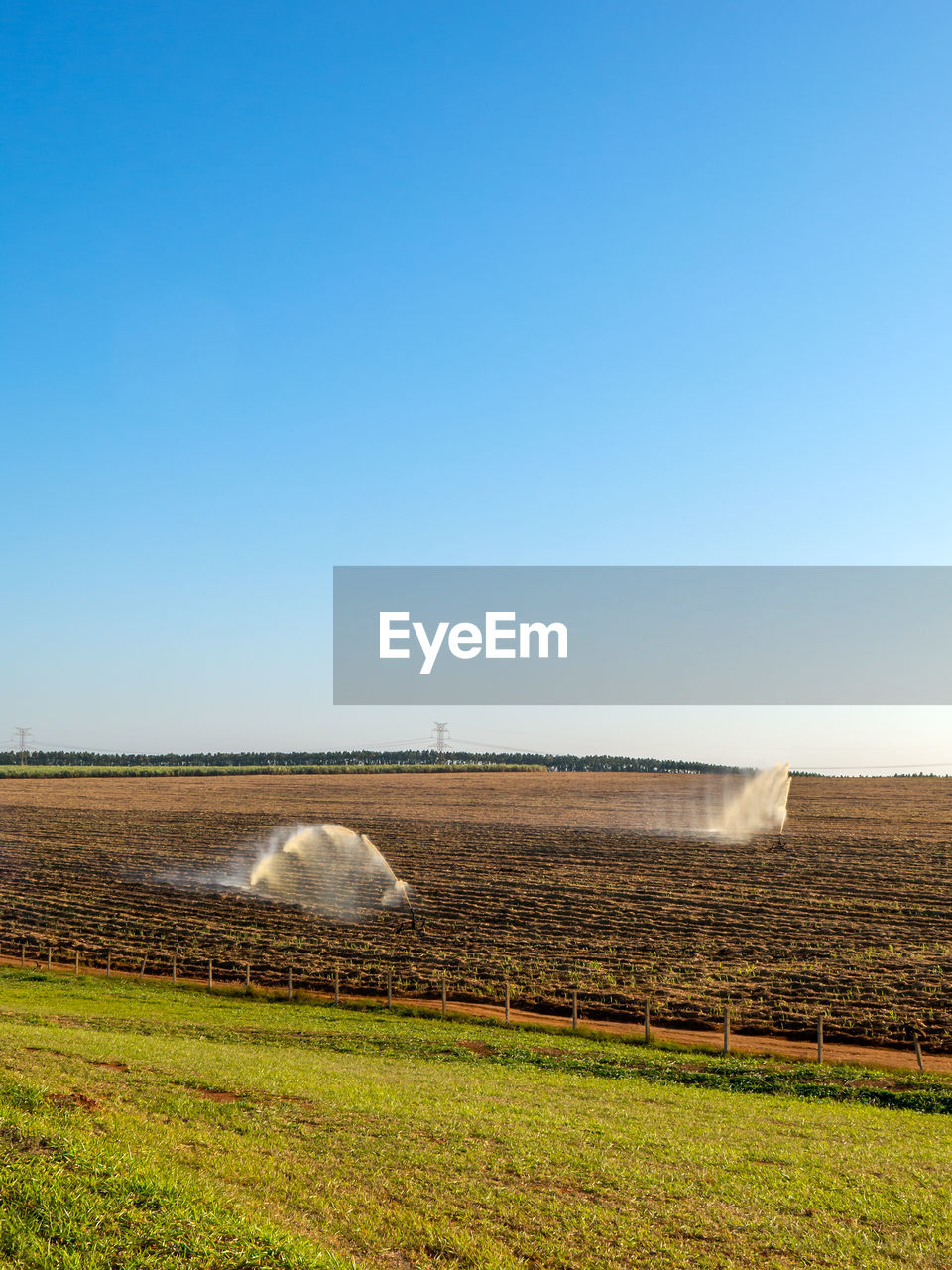 AGRICULTURAL FIELD AGAINST CLEAR SKY