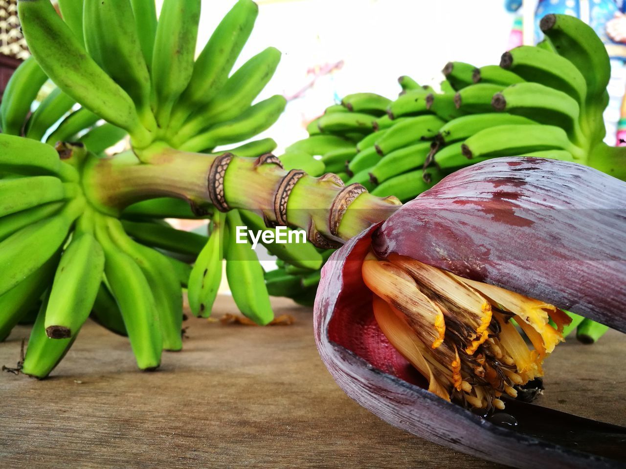 Close-up of banana plants on table