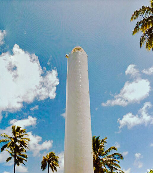 LOW ANGLE VIEW OF PALM TREES AGAINST BLUE SKY