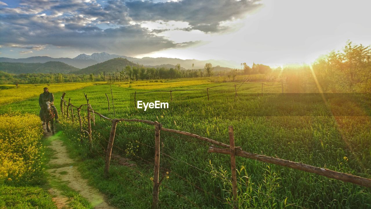 Young man riding horse on agricultural field against cloudy sky