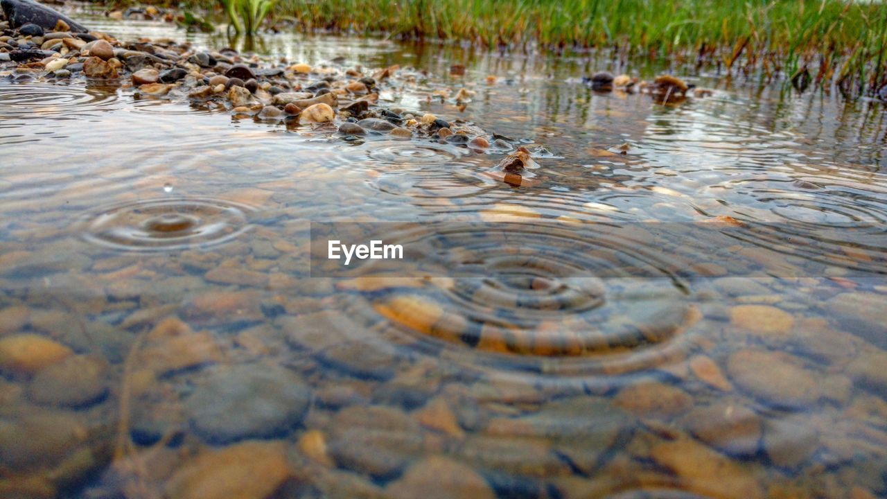 VIEW OF A RIVER WITH WATER