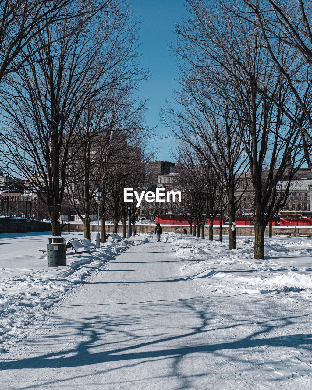 winter, snow, bare tree, cold temperature, tree, nature, plant, architecture, day, white, built structure, sky, covering, city, no people, freezing, building exterior, frozen, outdoors, the way forward, transportation, environment, road, scenics - nature, branch, sunlight, shadow, beauty in nature