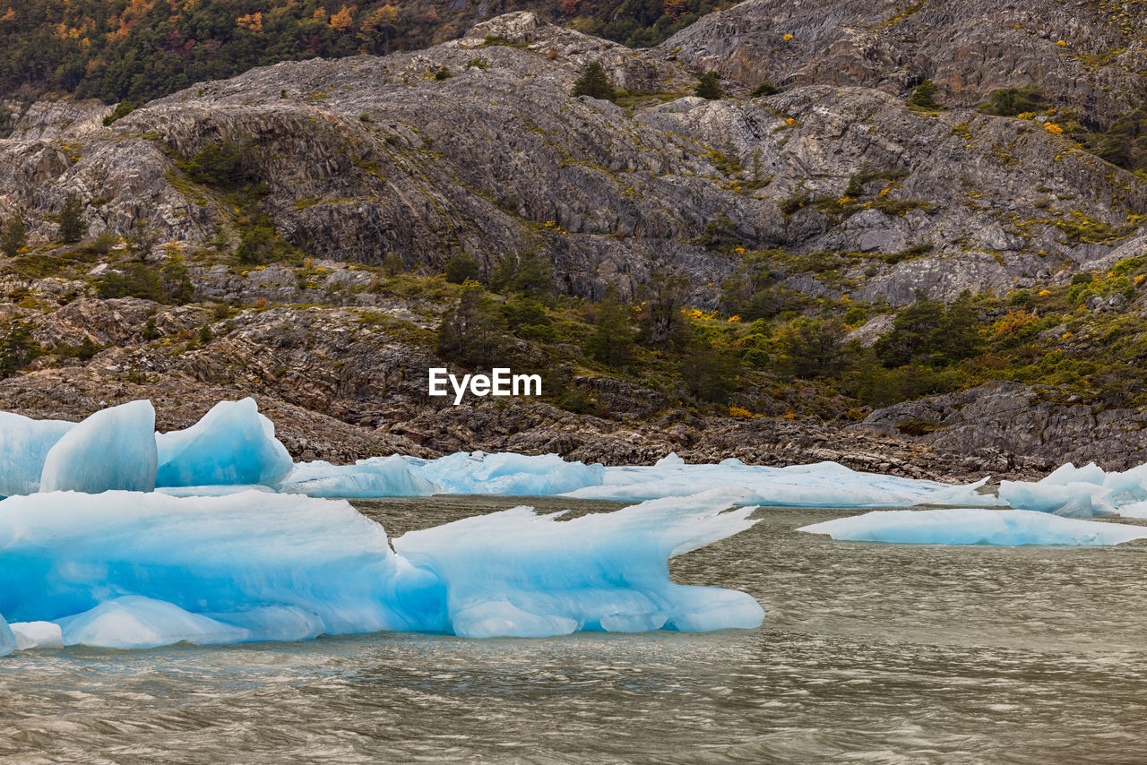 Bizarre shaped icebergs in front of autumnal trees at grey glacier, torres del paine, chile