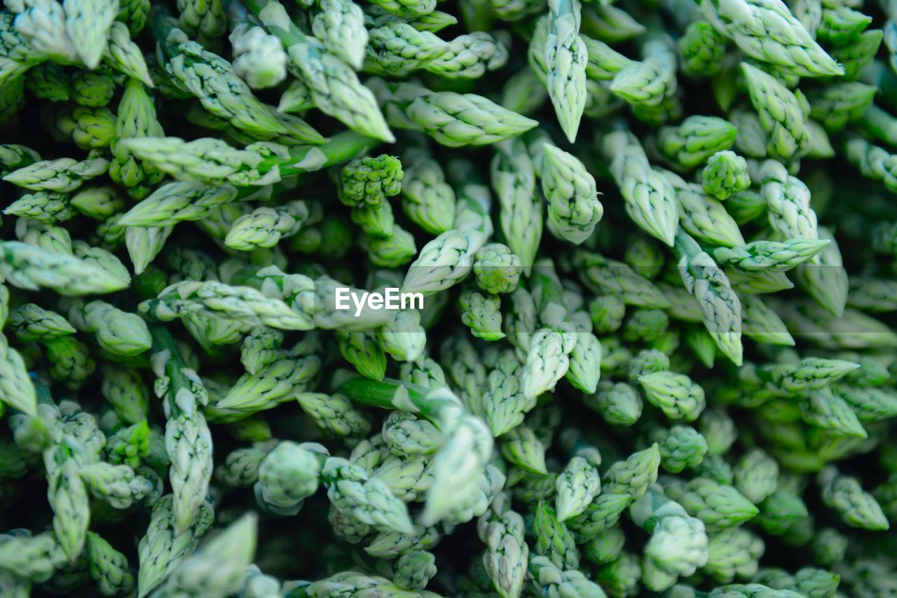 Full frame shot of asparagus for sale in market