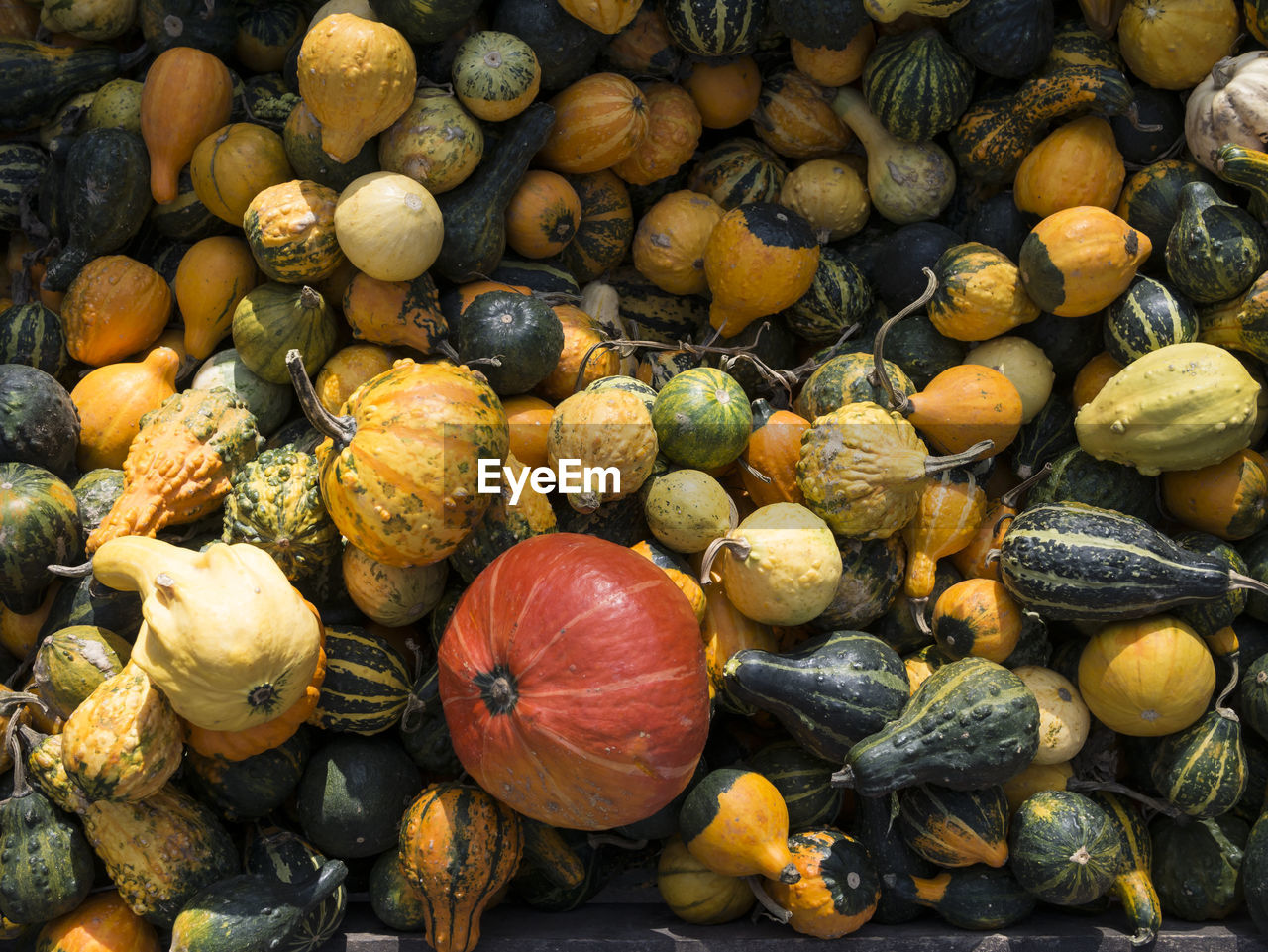 Full frame shot of vegetables for sale at market