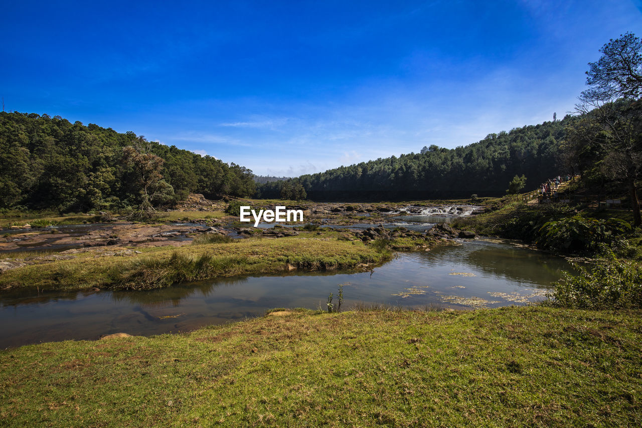 Scenic view of lake in forest against sky