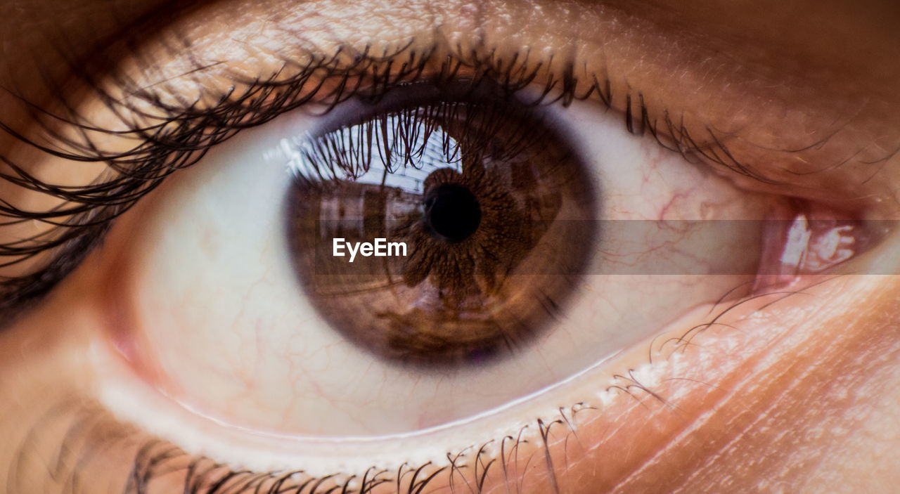 Close-up portrait of woman eye