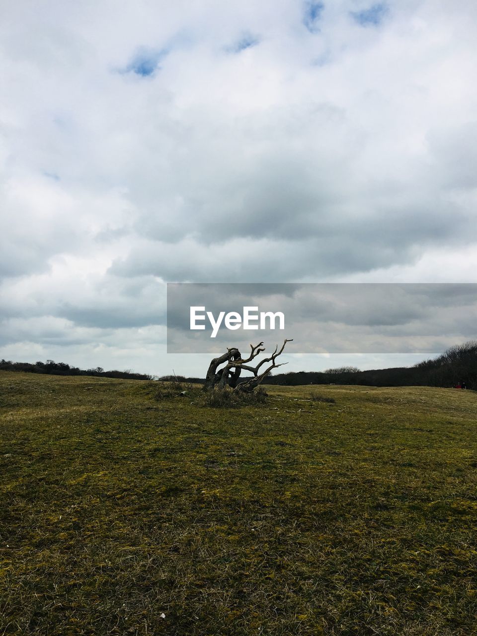 BICYCLE PARKED ON FIELD