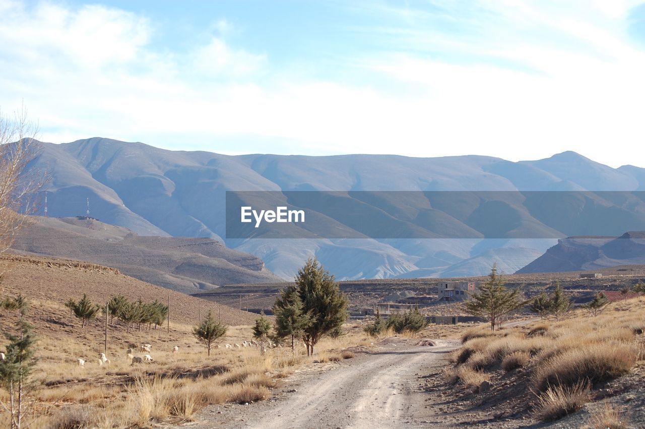 Dirt road leading towards mountains