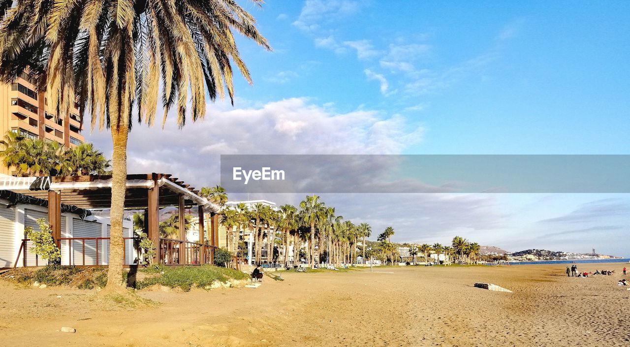 beach, palm tree, tropical climate, sky, land, sand, tree, nature, sea, vacation, cloud, water, architecture, plant, holiday, trip, travel destinations, built structure, beauty in nature, hut, coconut palm tree, coast, day, body of water, shore, travel, scenics - nature, building exterior, sunlight, tranquility, outdoors, blue, tropical tree, building, tranquil scene, tourist resort, tourism, ocean, tropics, beach hut, summer, no people, resort, idyllic, house, coastline